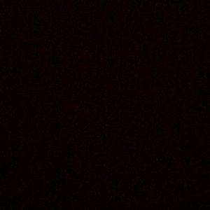 Meet your Posher, Bianca